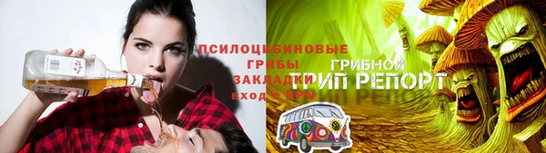 ПСИЛОЦИБИНОВЫЕ ГРИБЫ Кулебаки