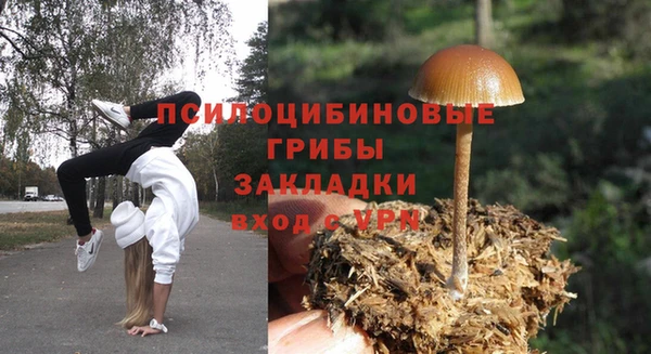 прущие крисы Алзамай