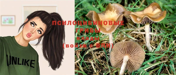 прущие крисы Алзамай