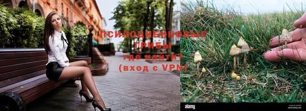 прущие крисы Куйбышев