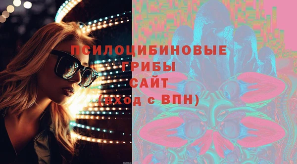 a pvp Алексин